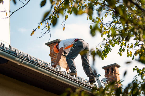 Roof Coating Services in Norton Shores, MI